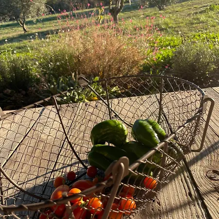 Bed & Breakfast Mas Chamsomat Robion en Luberon