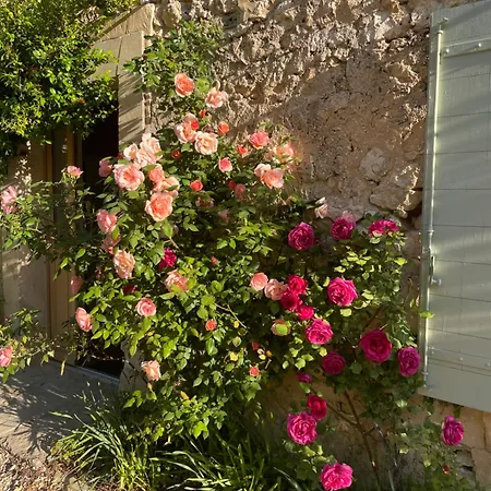 Mas Chamsomat Bed & Breakfast Robion en Luberon