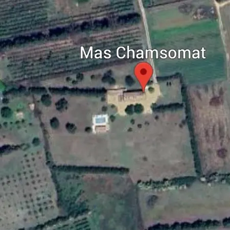 Mas Chamsomat